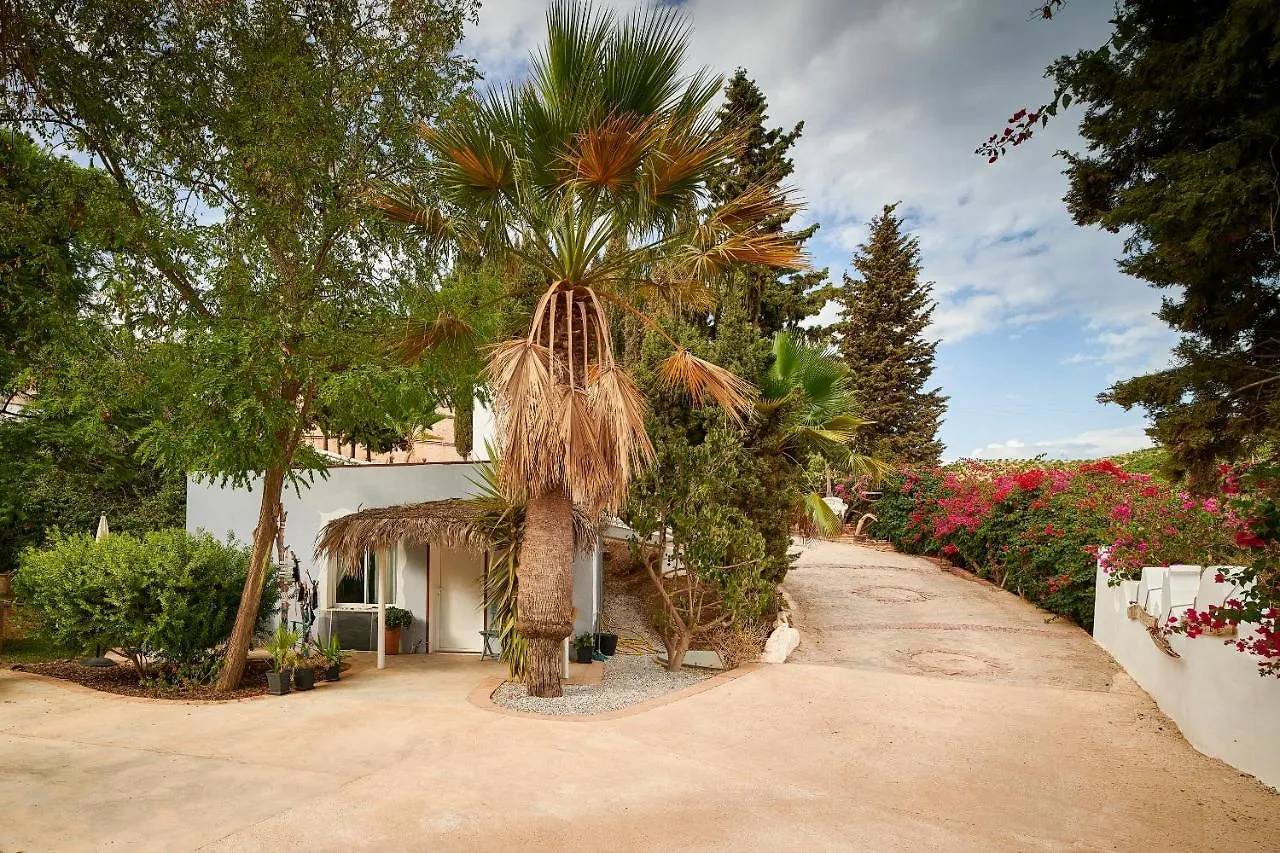 Lovely Guesthouse In Benajarafe