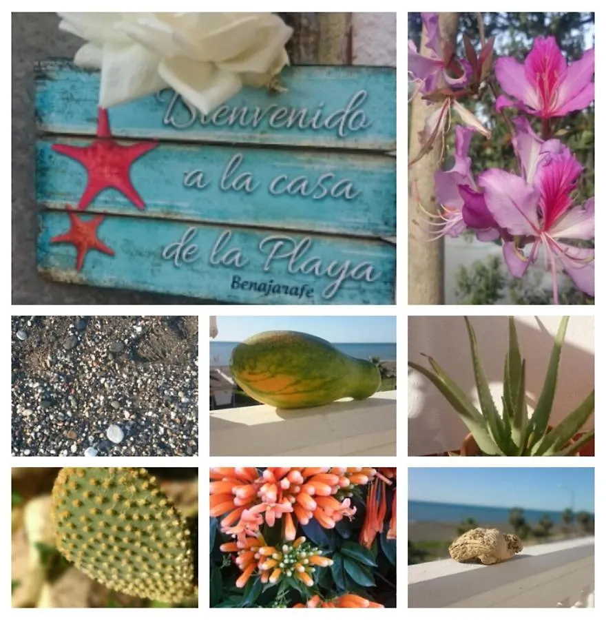 Lovely Guesthouse In Benajarafe 0*,  Spain